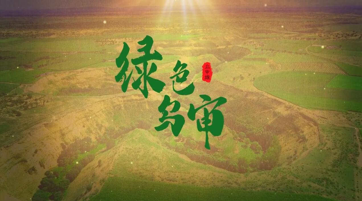 為筑牢我國北方重要生態(tài)安全屏障貢獻(xiàn)烏審力量