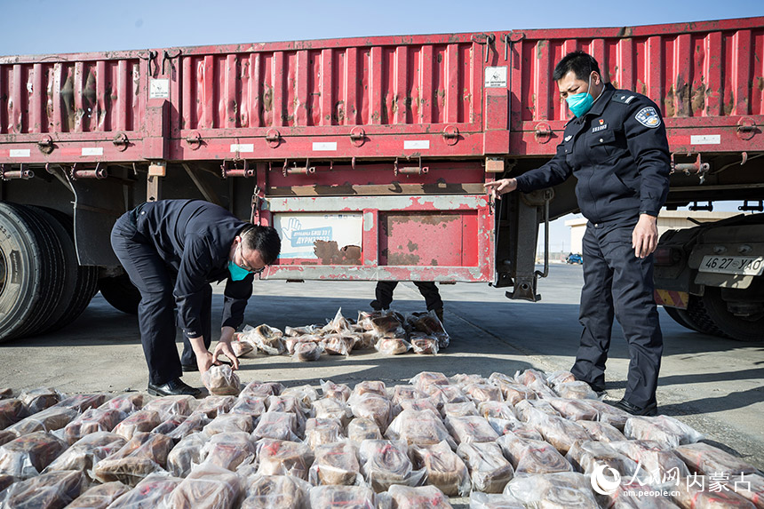 二連出入境邊防檢查站執(zhí)勤民警清點查獲的走私馬腸衣。郭鵬杰攝