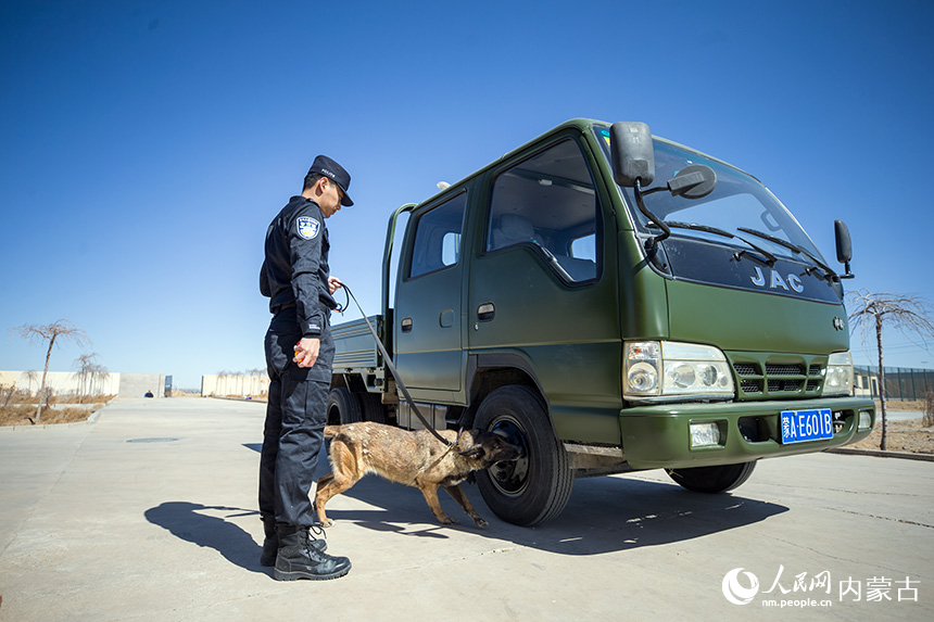 警犬訓(xùn)導(dǎo)員組織警犬進(jìn)行車體搜爆訓(xùn)練。郭鵬杰攝