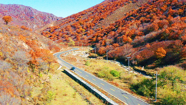 赤峰市松山區(qū)城子鄉(xiāng)盔甲山秋色斑斕。
