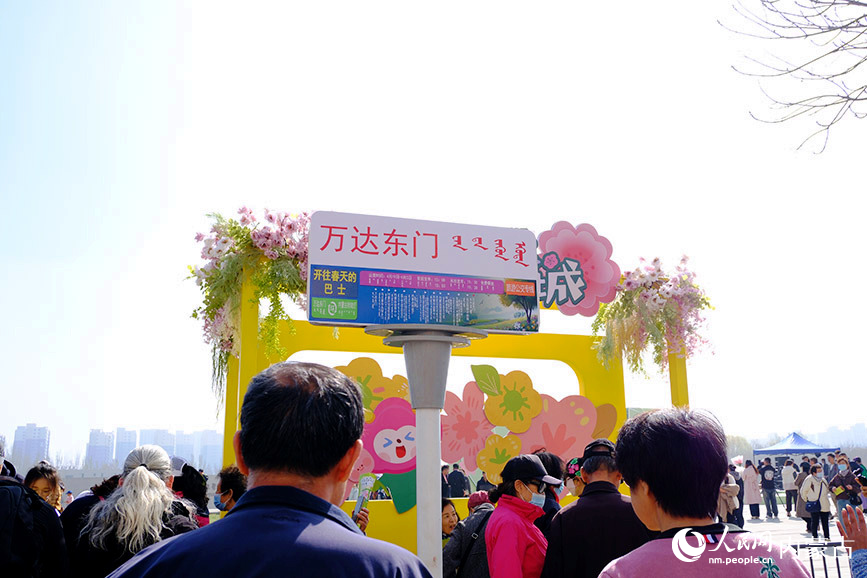 4月19日，呼和浩特市“開往春天的巴士2.0”賞花公交專線運(yùn)營。人民網(wǎng)記者 劉藝琳攝