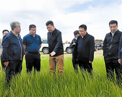 自治區(qū)黨委常委、市委書記孟憲東在開魯縣小街基鎮(zhèn)中心村5000畝中科羊草基地調(diào)研。